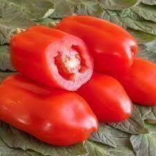 Piante & sementi: Tomate, San Marzano – Nuovo (secondo la descrizione) da Eschen venduto da Saemereien24 2