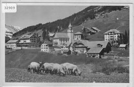Sörenberg - Generalansicht - Schafe