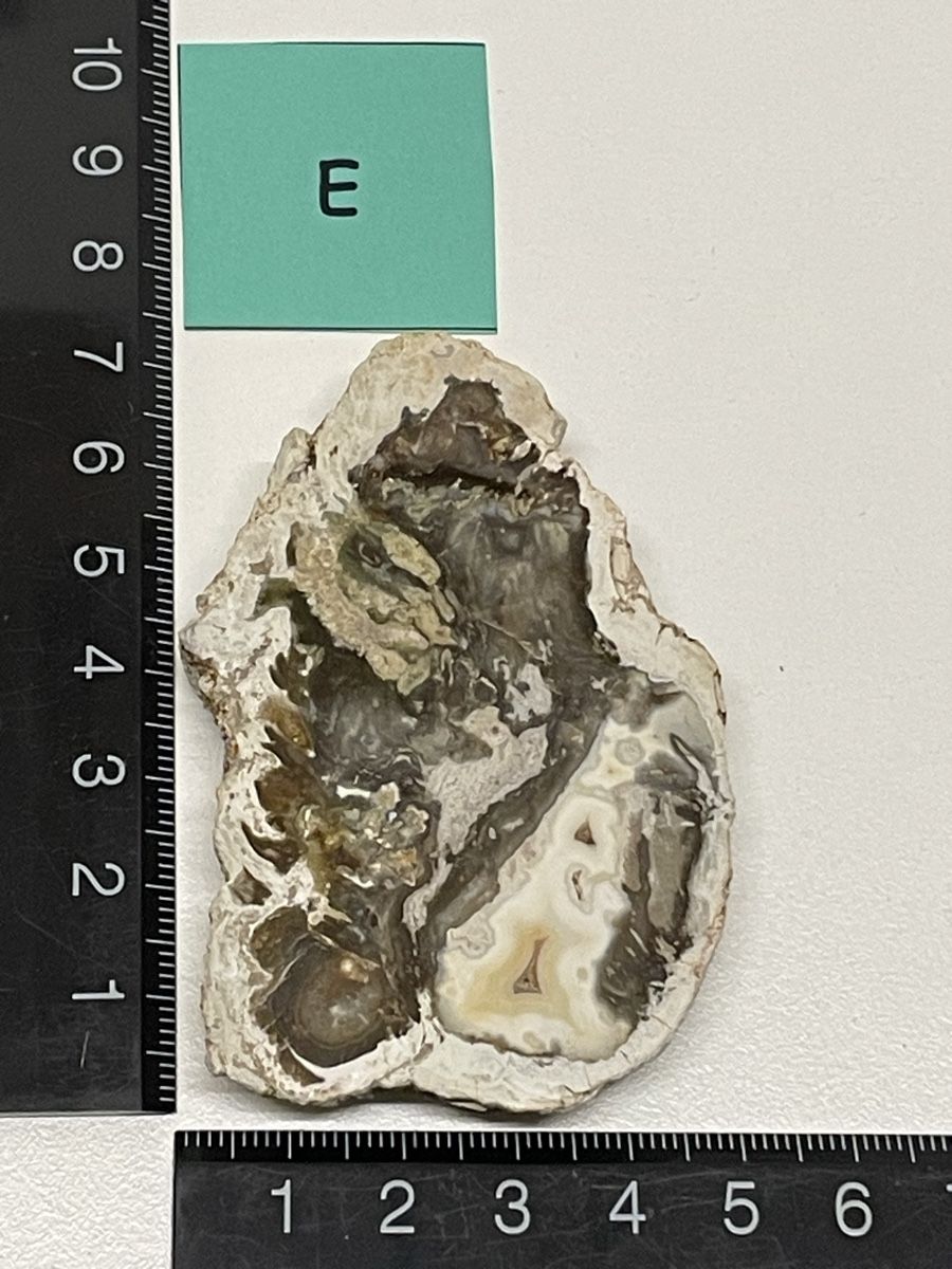 Minerali & Pietre curative: Heilstein / versteinertes Holz / Edelstein – Usato da Rümlang venduto da euqinom16