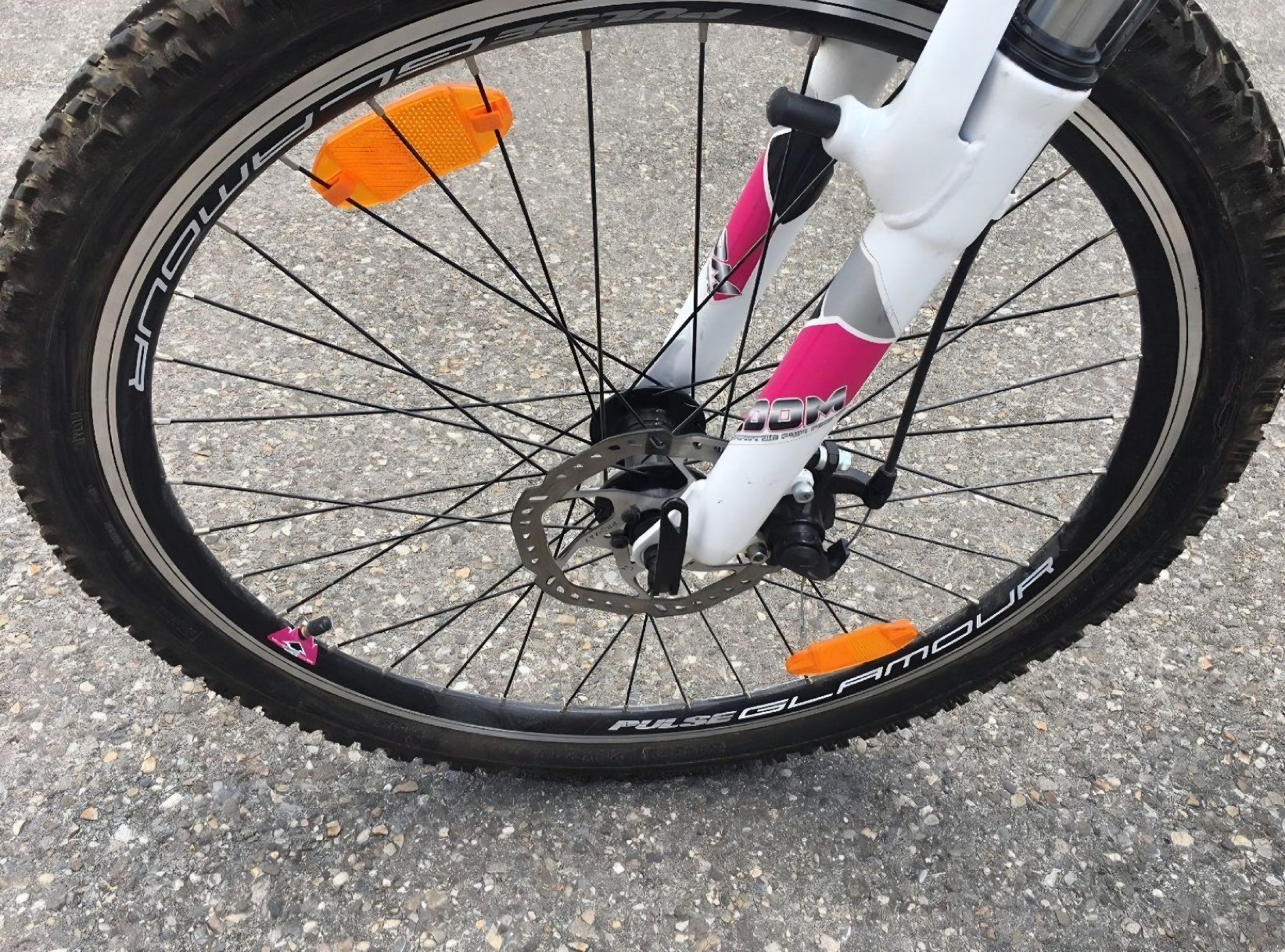 Biciclette: Mountainbike Pulse Glamour – Usato da Lohn-Ammannsegg venduto da Therealgodfather 2
