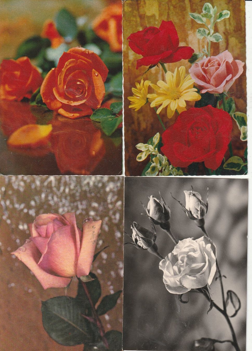 Cartes postales: 32  Blumenkarten – D'occasion à Lumbrein par made02 2