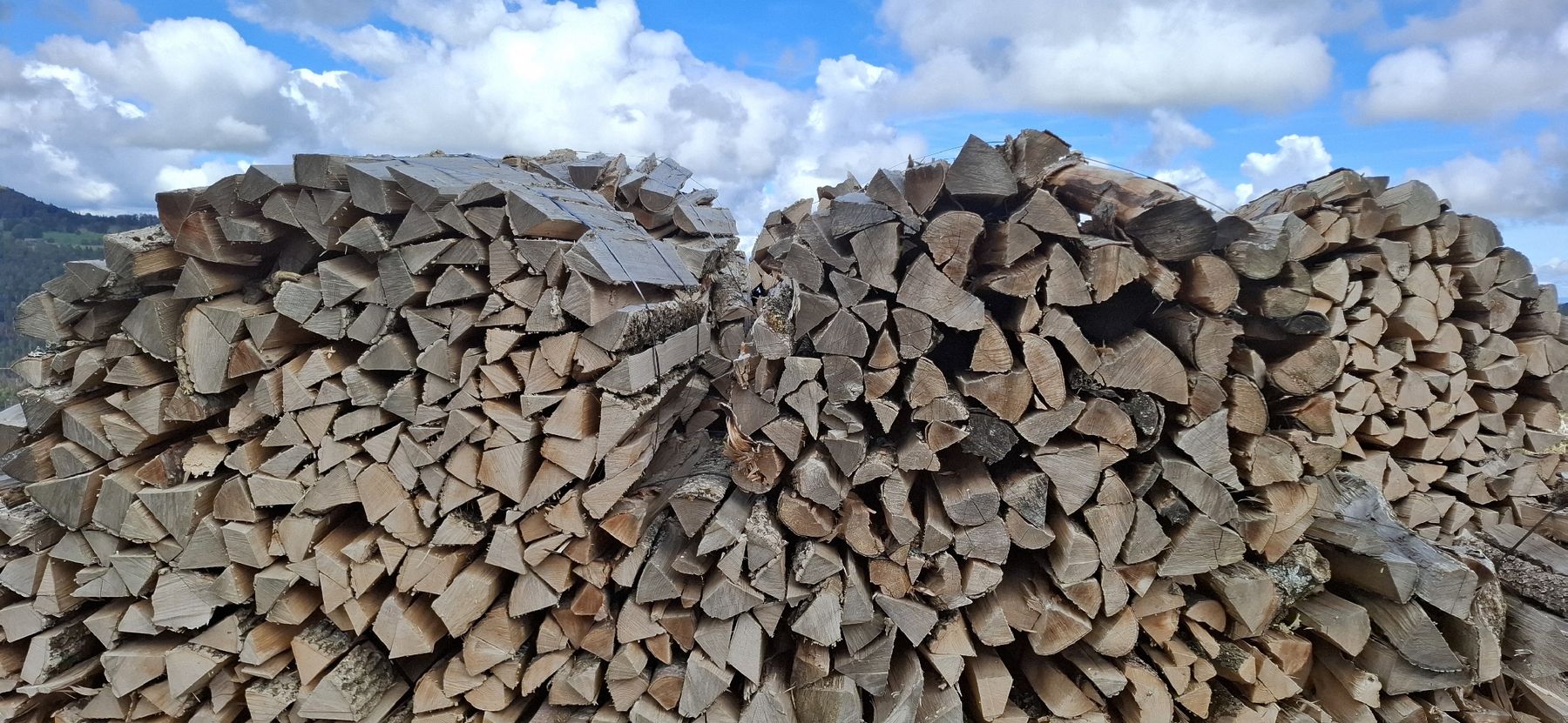 Holzartikel: Brennholz – Neu und originalverpackt aus Gänsbrunnen von Smoto 2