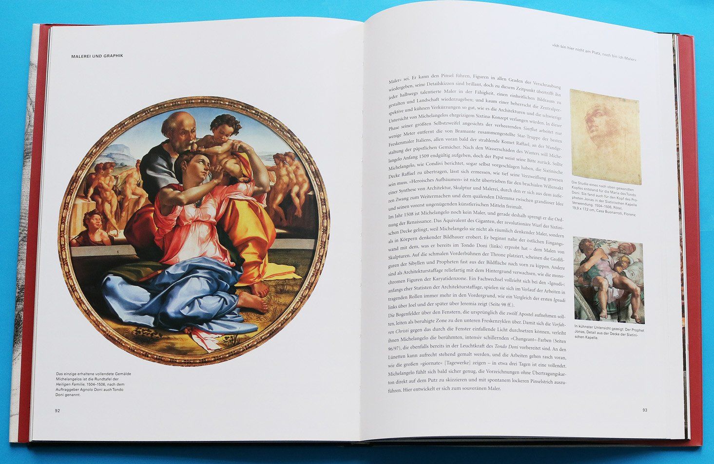 Bücher: Michelangelo – Gebraucht aus Bern von imp_kln9 6