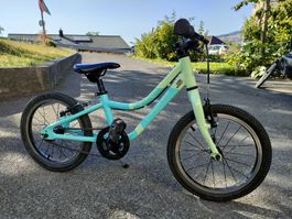 Kindervelo 16"