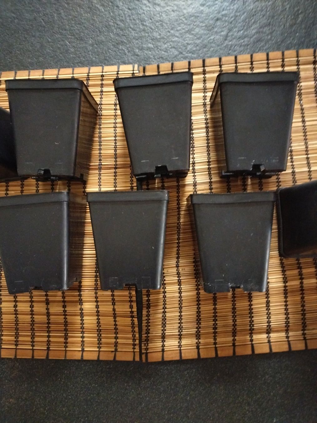 Vasi per fiori: Anzuchttopf 10x10x12cm 50 Stk – Usato da Rüti ZH venduto da Lux05