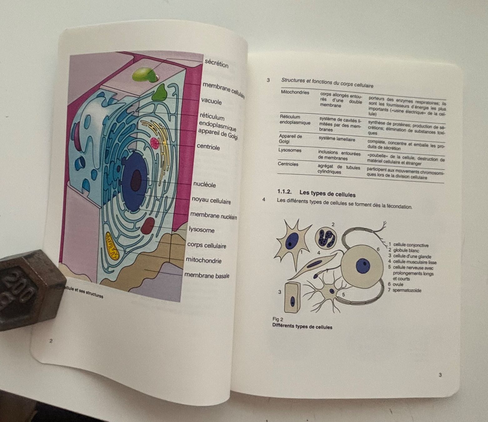 Libri: Armée Suisse - Instruction de base pour le service sanitaire – Usato da Neuchâtel venduto da gefdeneuch 5