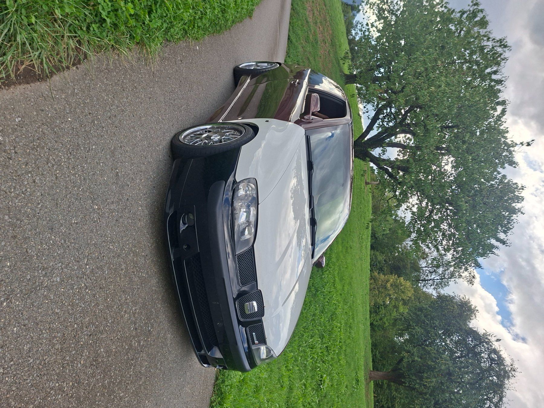Seat Autos: Seat Ibiza – Gebraucht aus Steinen von yva_m2tk 6