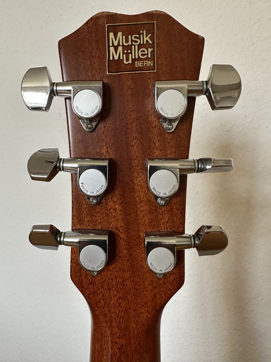 Strumenti musicali: Westerngitarre Blueridge, Modell BR-85 – Usato da Bern venduto da smokestack 6