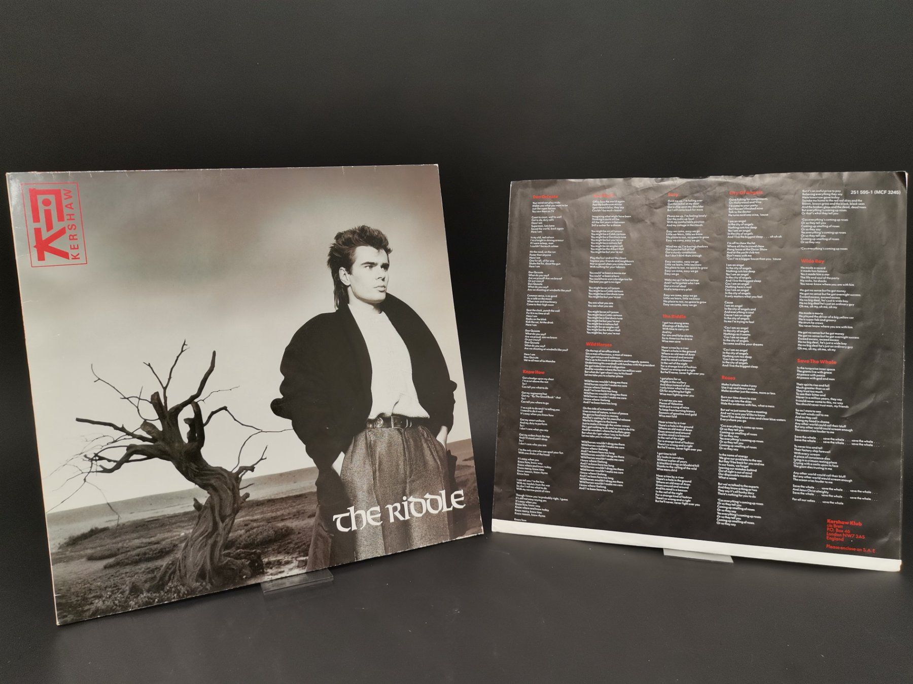 Dischi in vinile: SCHALLPLATTE Vinyl Nik Kershaw "The Riddle" – Usato da Schaffhausen venduto da Restwert_SH 2