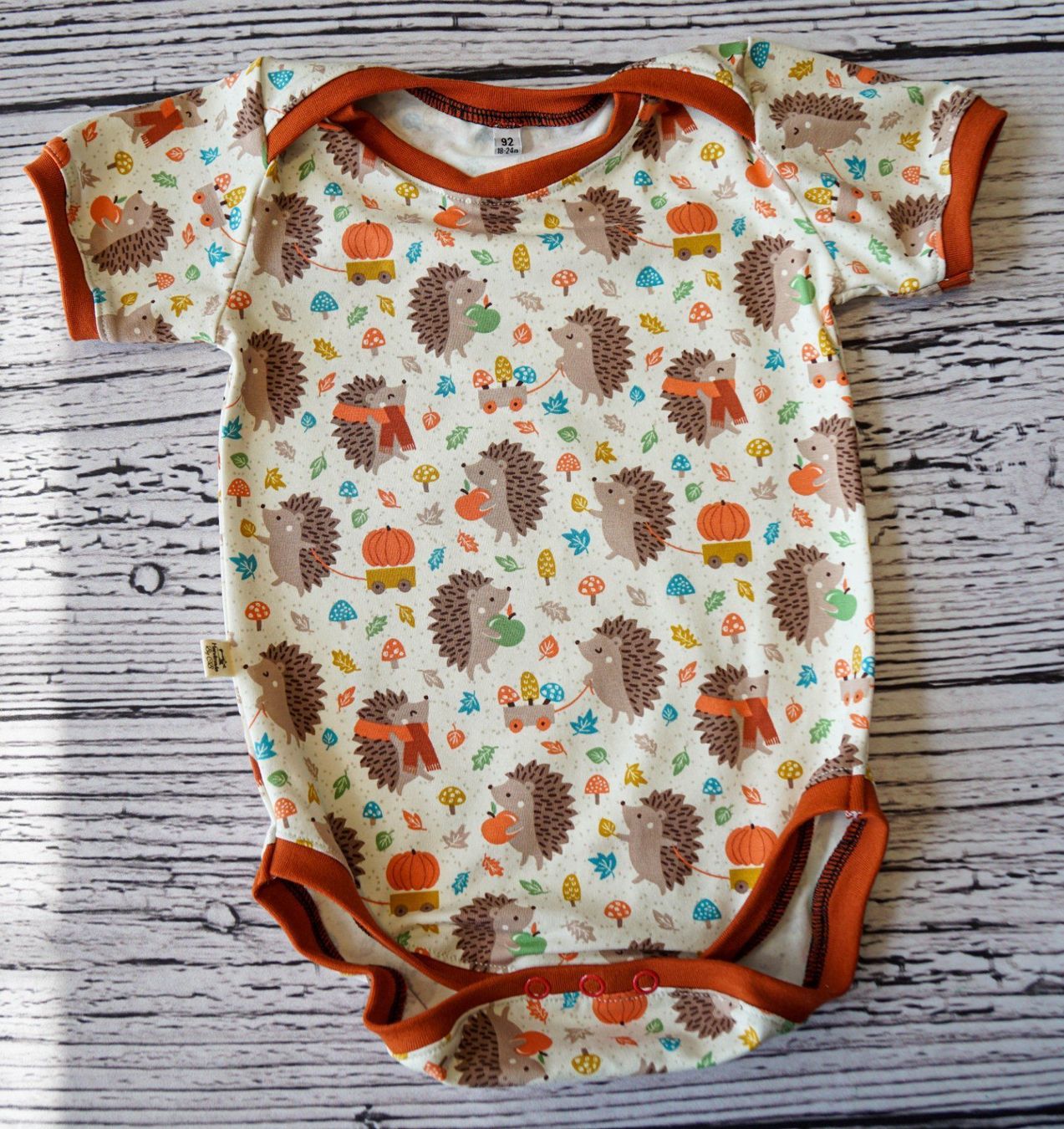 Biancheria intima: Kurzarm Bodys mit Igel/Pucky - Gr.86/92 NEU – Nuovo e nell'imballaggio originale da Zürich venduto da sambaum 1
