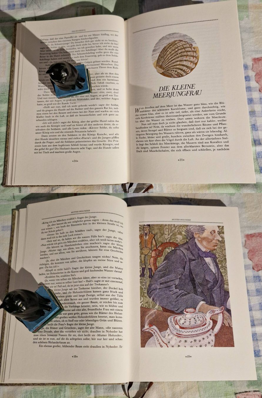 Libri: Mutter Holunder - 21 Märchen aus dem Teekessel H.C. Andersen – Usato da Zürich venduto da silver-team 6
