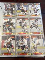 EHC Biel Bienne HC Bienne Vintage Player Trading Cards