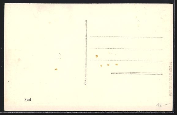 Cartoline postali: AK Estavayer, Couvent des Dominicaines – Usato da Berlin venduto da bartko-reher 1