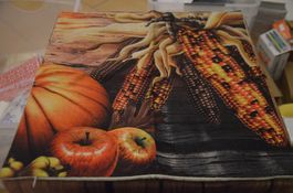 FOURRE COUSSIN NEU - CM 43X44