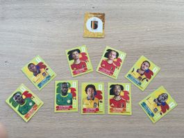 Stickers panini 