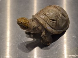 Stein Schildkröte Handarbeit Sammeln Mineral Unikat Tier