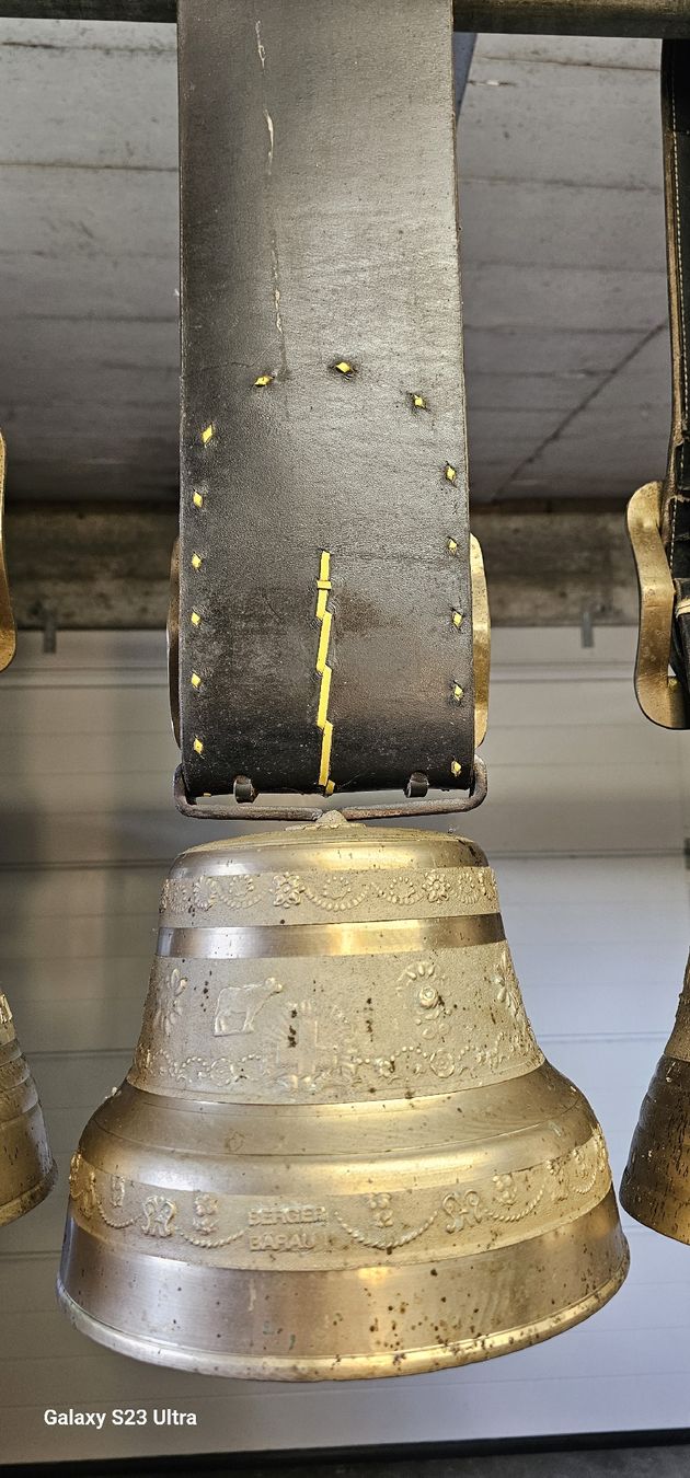 Glocken & Treicheln: verkaufen – Gebraucht aus Gondiswil von KawasakiVN1700 5