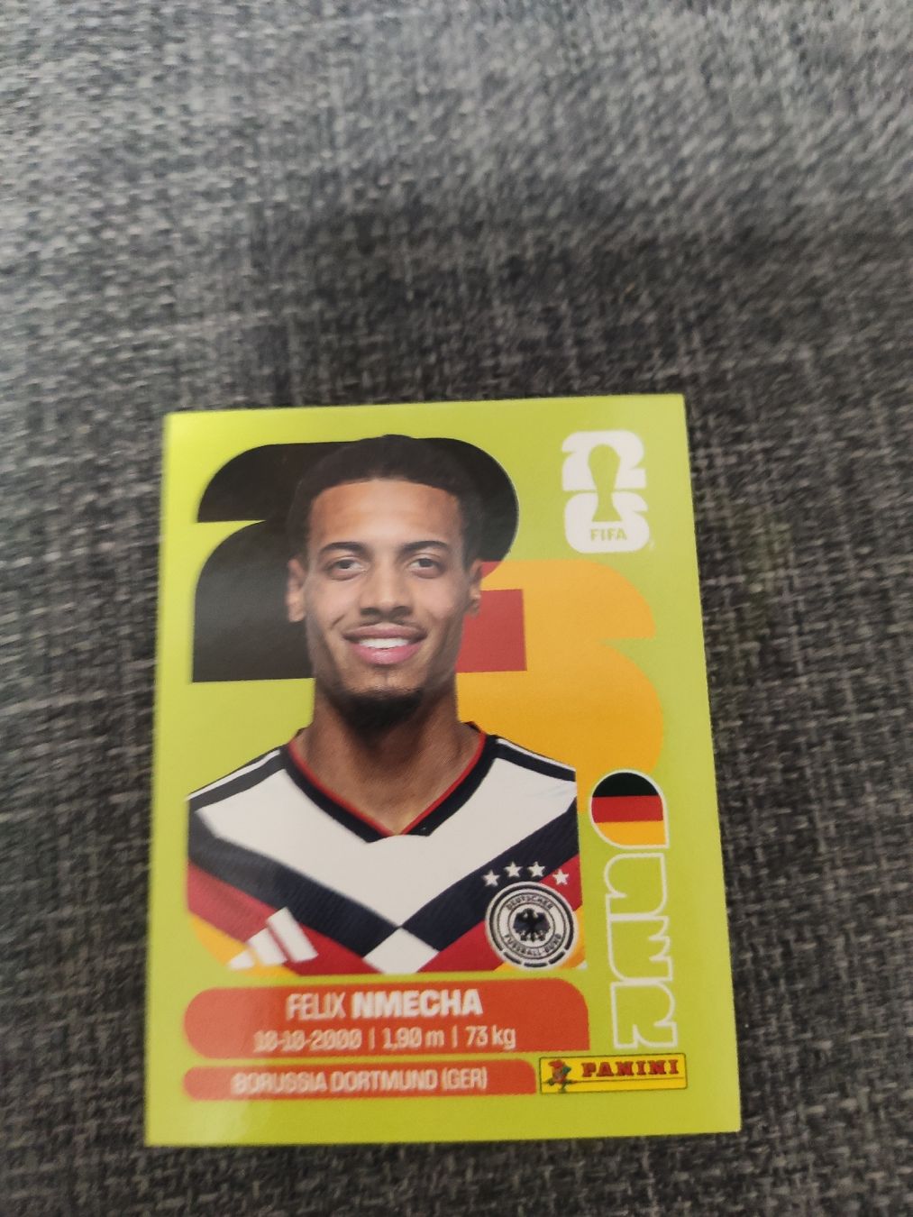 Panini Sammelbilder & Trading cards: panini GER 12 – Gebraucht aus Ettenhausen TG von danielhoop