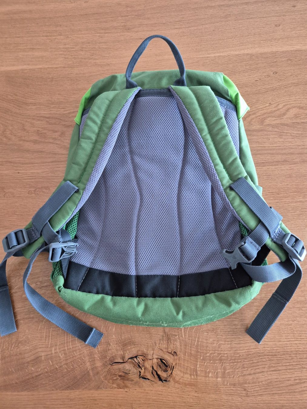 Deuter Borse & Zaini: Deuter Kinderrucksack – Usato da Mosnang venduto da Aurel2018 1