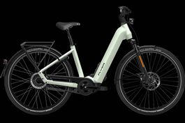 NEU E-BIKE FLYER 25KM/H | 95NM & 750WH FIT PANASONIC