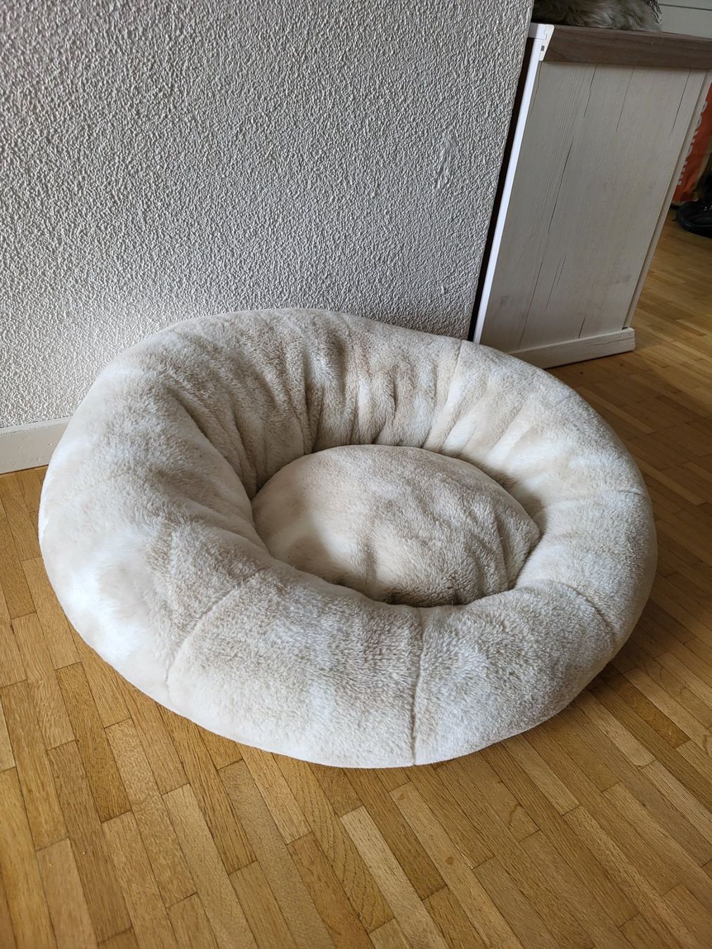 Cucce & Letti: Kuscheliges Hunde- oder Katzenbett – Nuovo (secondo la descrizione) da Ittigen venduto da 72er 1