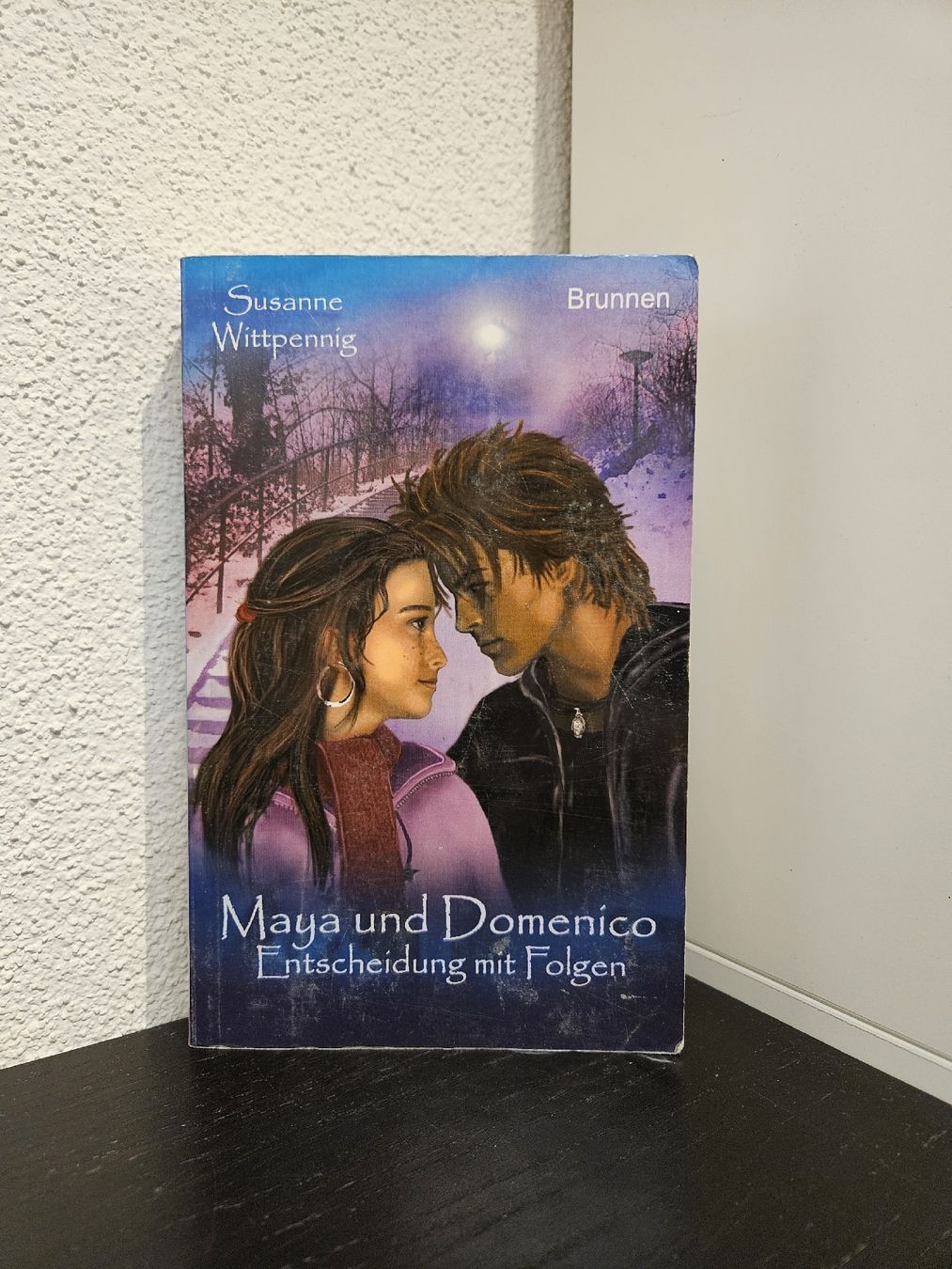 Libri: Bücherreihe Maya und Domenico – Usato da Buttisholz venduto da craftergirl 6