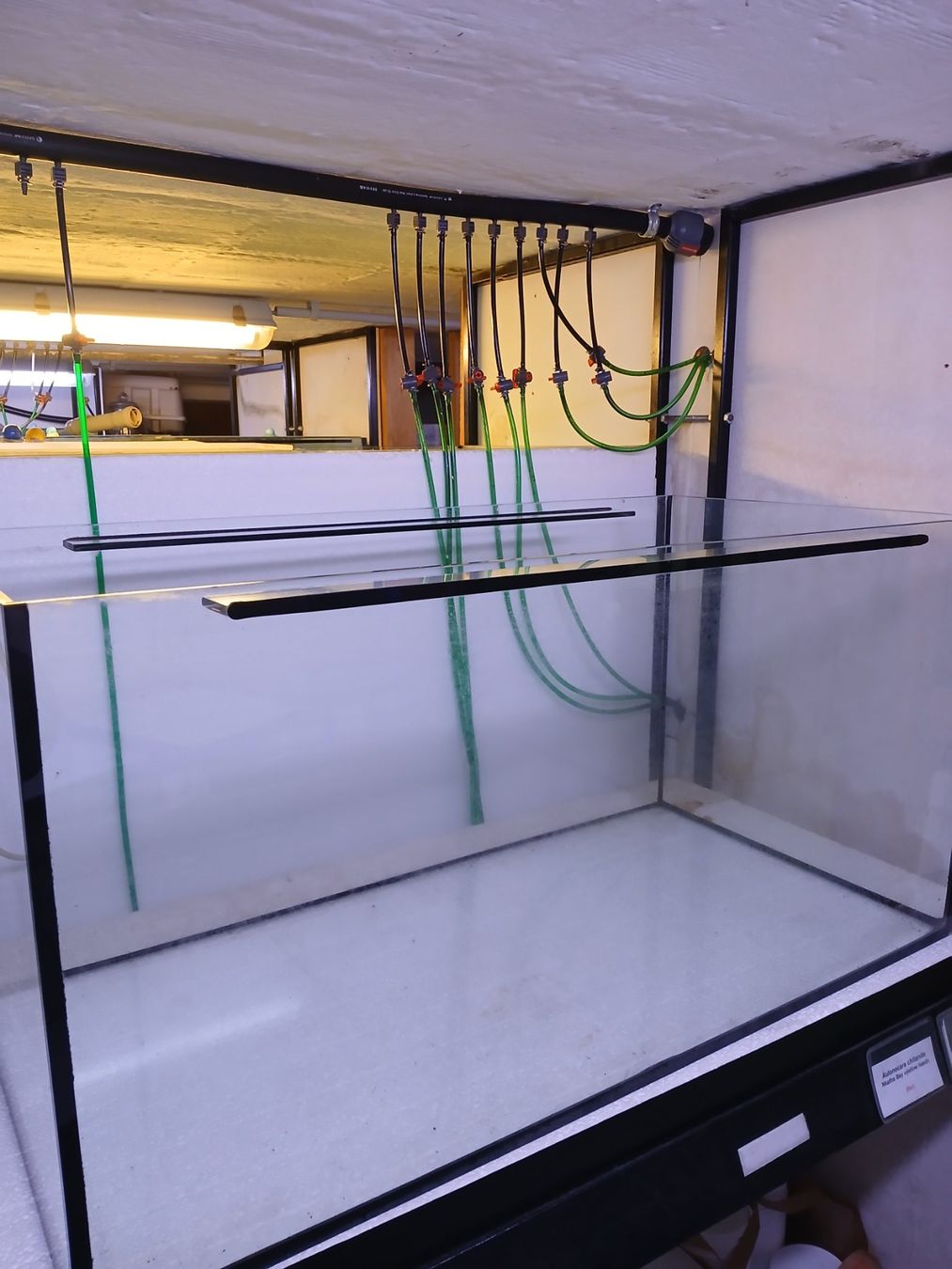 Terrario: Terrarium 128L – Usato da Kappelen venduto da lue_nrl2