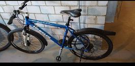 Wheeler Mountainbike 19 Zoll Räder