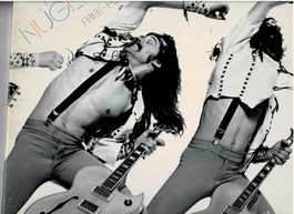 Lp tedNugent  Fee For
