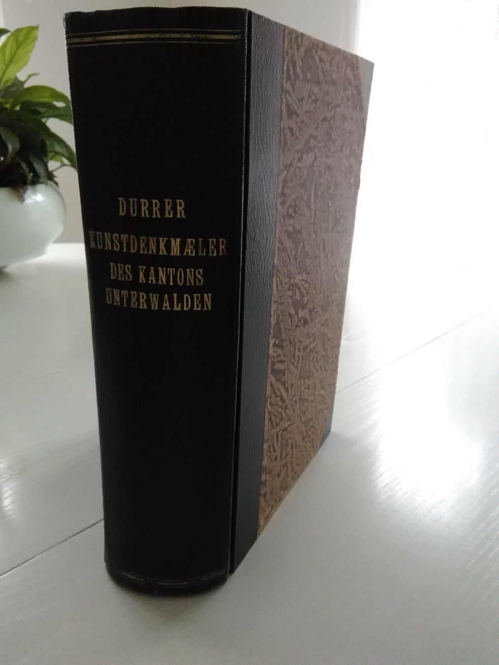 Libri: Kunstdenkmäler des Kantons Unterwalden – Usato da Buochs venduto da Jenymak