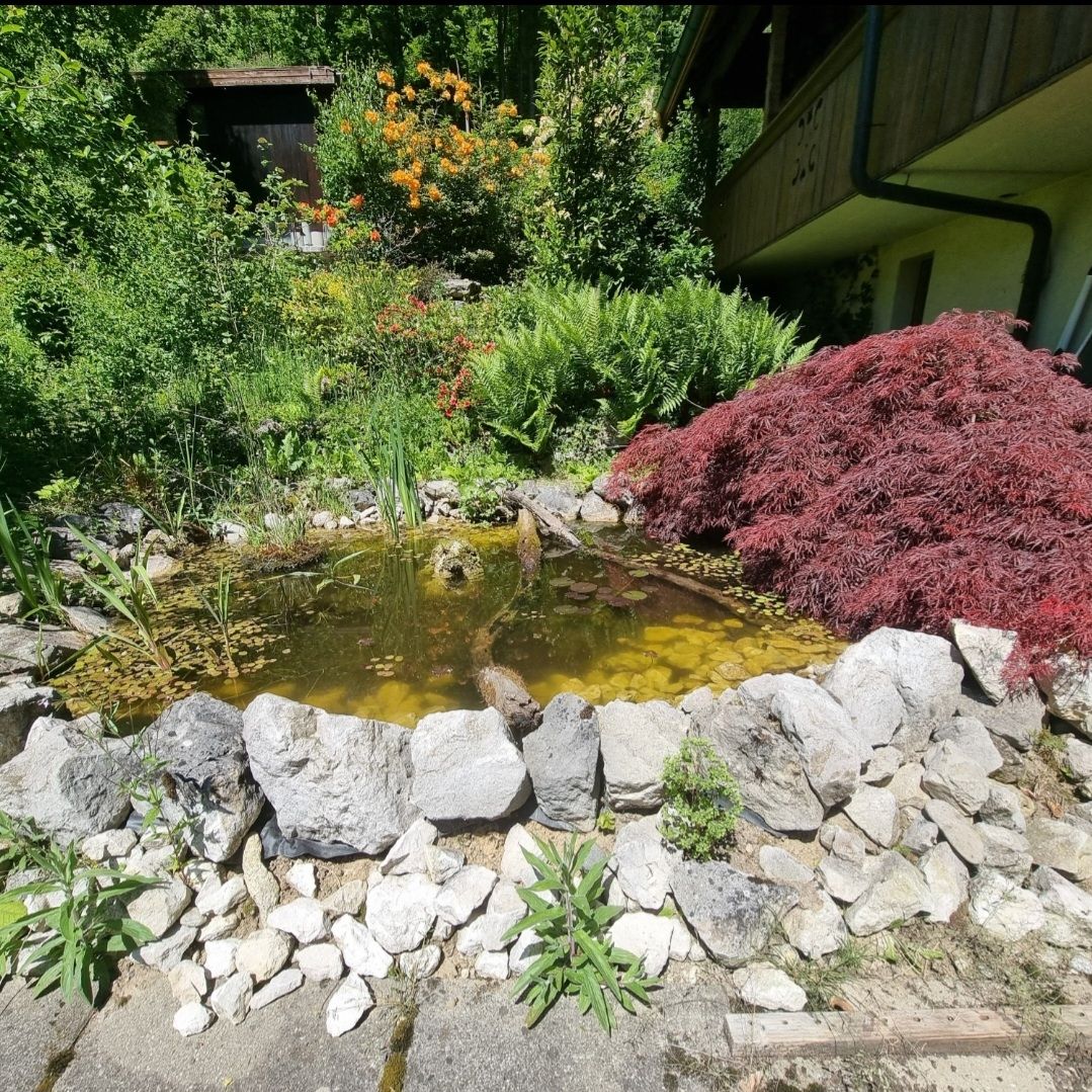 Ritocchi & pellicole di protezione: Teichfolie ca. 3m x 4m gebrauchter Zustand – Usato da Grasswil venduto da chr_6g85