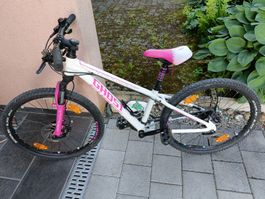 Fahrrad 24 Zoll