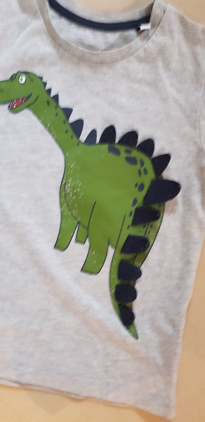 C&A Camicie, T-shirt & Polo: Süsses Dino T-Shirt, Gr. 110, – Usato da Dietikon venduto da grafad 1