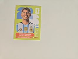 Panini WM 26 - ARG11
