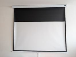 celexon Leinwand Rollo Professional Plus 180 x 102 cm - 81"