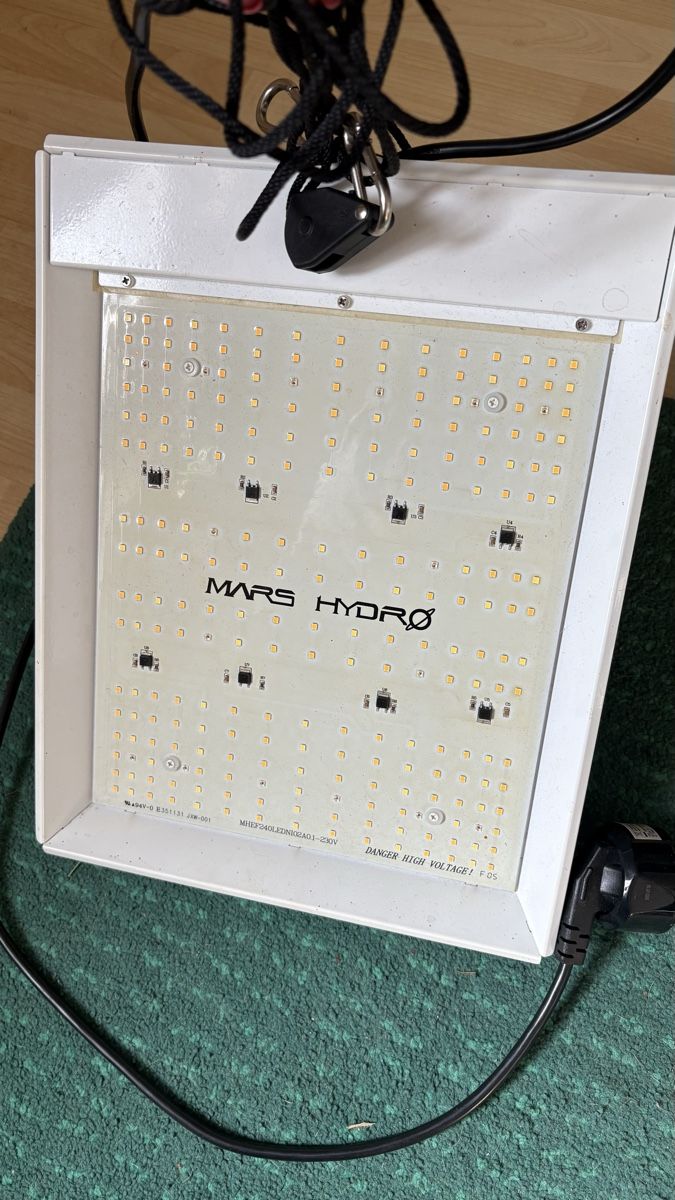 Lampade: Mars Hydro Lampe – Usato da Altstätten SG venduto da Mariapestozza