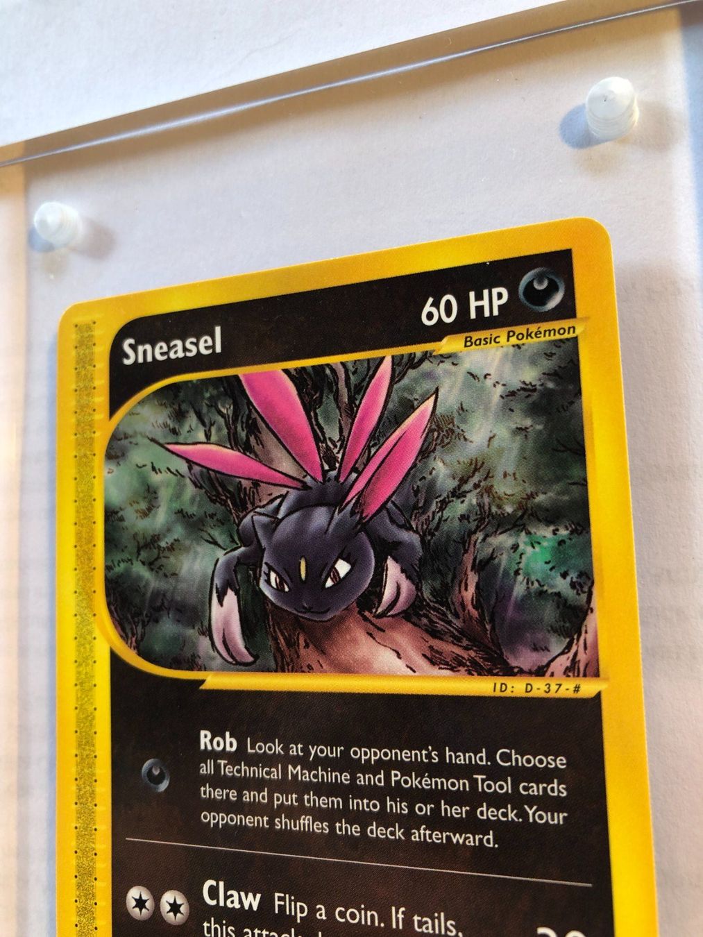 Carte collezionabili: Sneasel Aquapolis - MINT - ab 1.- – Usato da Giubiasco venduto da dan_pr8b 3