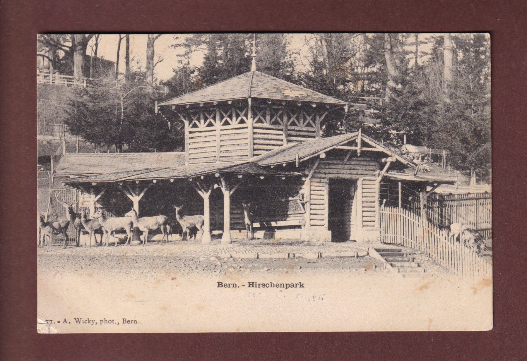 Cartes postales: BERN - Hirschenpark – D'occasion à Pully par nicecards-shop