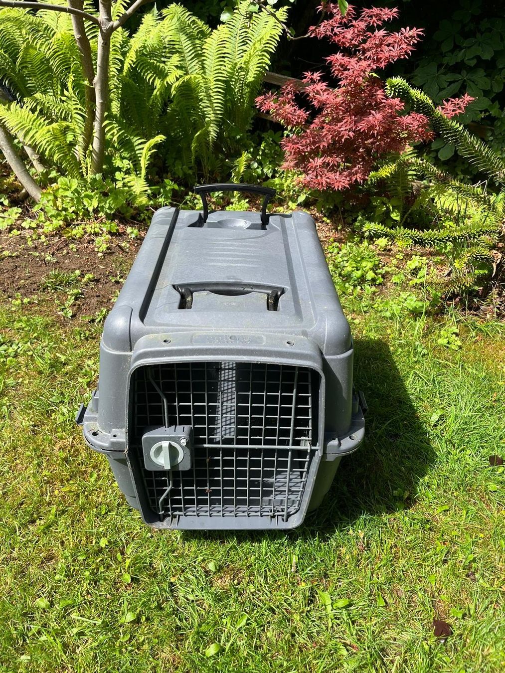 Gabbie, trasporto & Sicurezza: Hundebox – Usato da Schindellegi venduto da lailalu