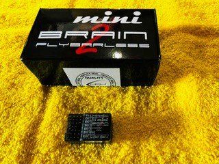 MSH Protos Modellismo RC: MSH Mini Brain 2 – Usato da Mur (Vully) VD venduto da Gribouille123