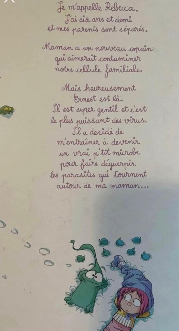 Libri: BD Ernest & Rebecca = explique la séparation des parents – Nuovo (secondo la descrizione) da La Chaux-de-fonds venduto da ccjp 5