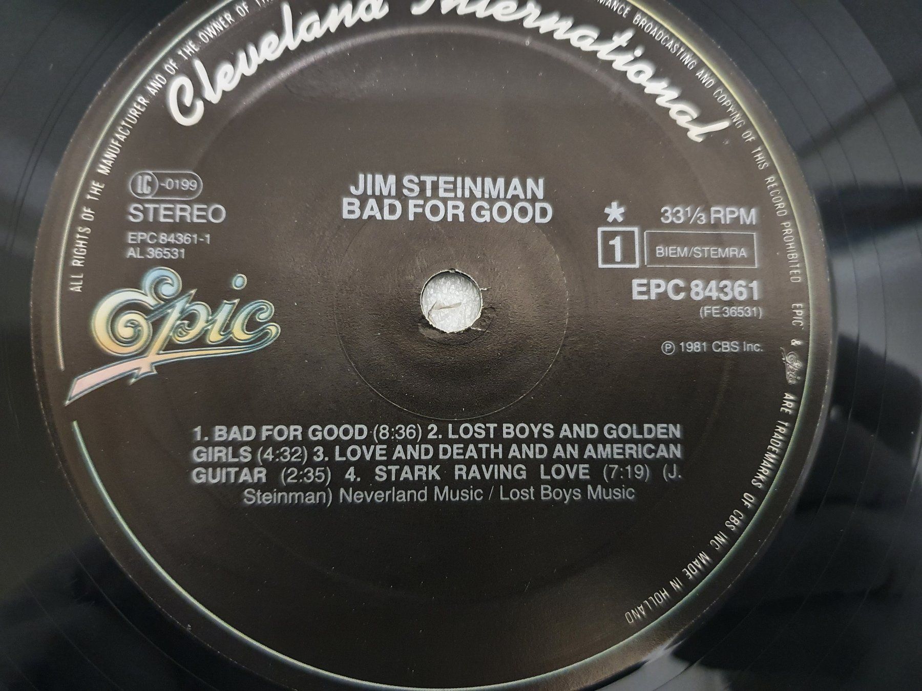 Dischi in vinile: Jim Steinman – Bad For Good – Usato da Uster venduto da Vinyl-Leidenschaft 3