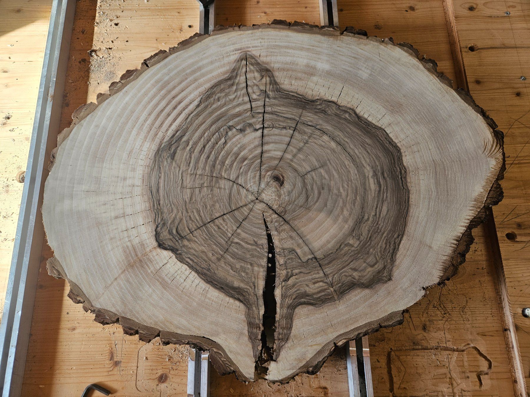 Holzartikel: Nussbaum Holz Baumscheibe – Neu (gemäss Beschreibung) aus Schangnau von egli6.2 5
