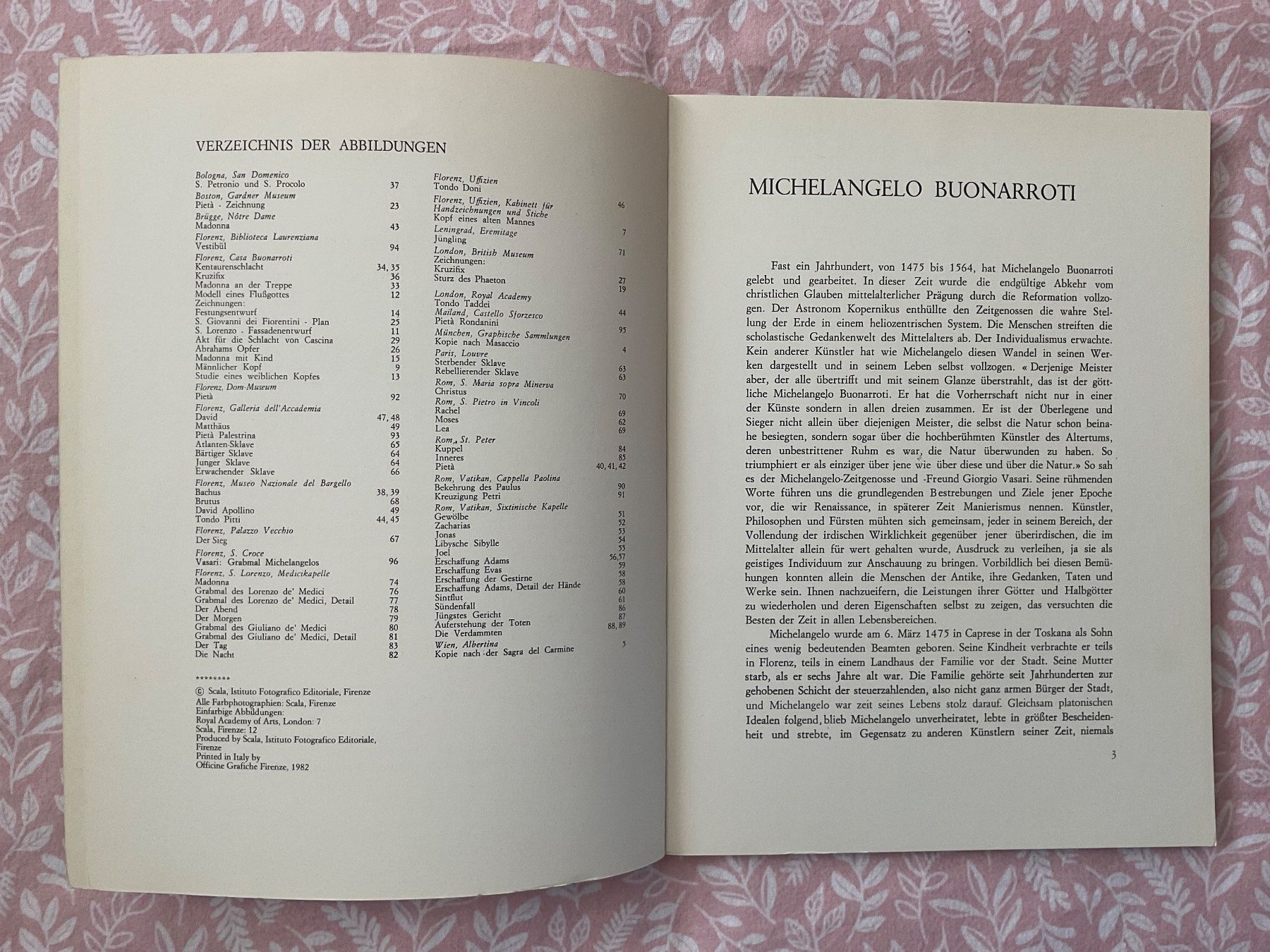 Libri: Michelangelo, alle Werke – Usato da Zürich venduto da Tolima194 1