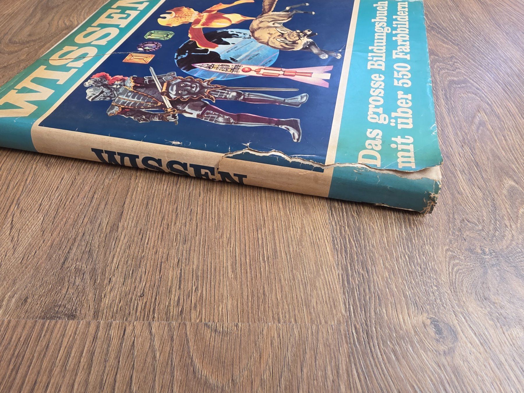 Bücher: Buch, Bildungsbuch "Wissen" – Gebraucht aus Nebikon von Japostyle 5