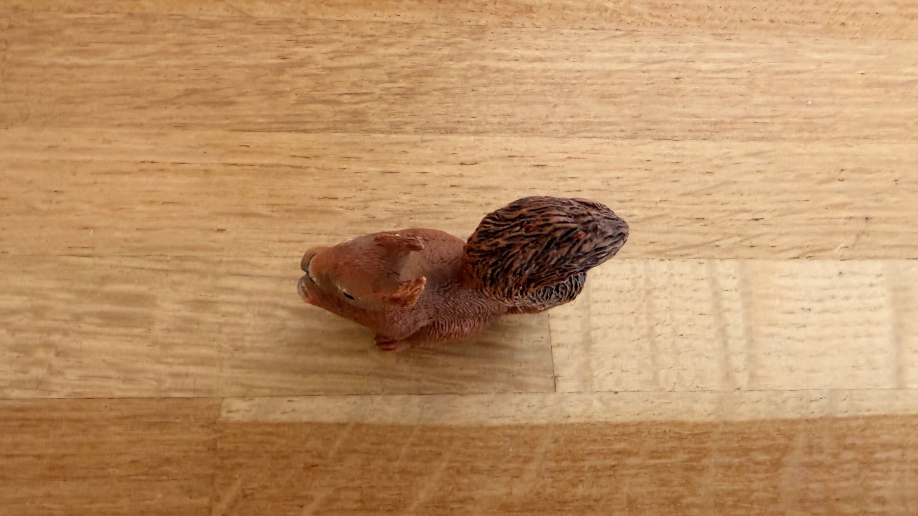 Schleich Giocattoli: SCHLEICH - Eichhörnchen 14684 – Usato da Winterthur venduto da Secondhand-Family 5