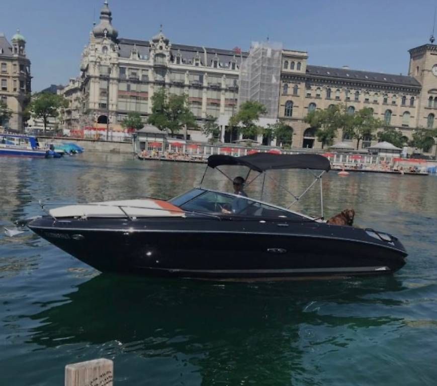 Barche: Sea Ray Bimini mit Seitenteile – Usato da Altnau venduto da stormridermc 2