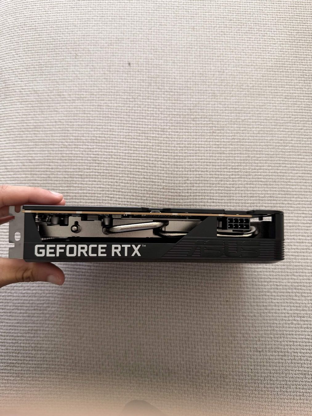 Asus Schede grafiche: Asus Dual GeForce RTX 5050 8gb – Usato da Vallorbe venduto da lam_2lln 4