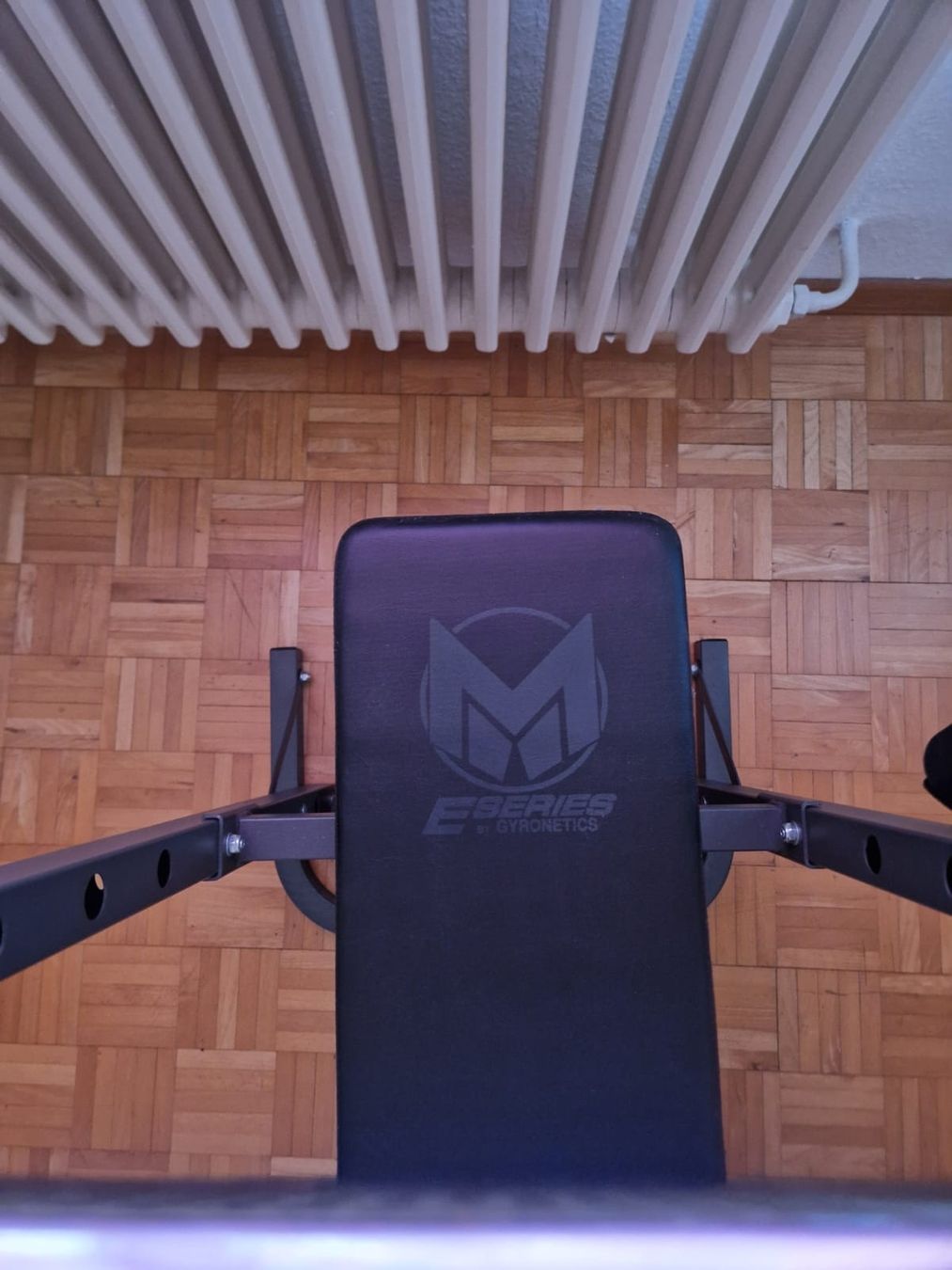 Hometrainer: Hantelbank inkl Gewicht – Nuovo (secondo la descrizione) da Möriken AG venduto da car_r789 2
