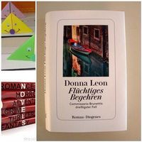 Flüchtiges Begehren Taschenbuch